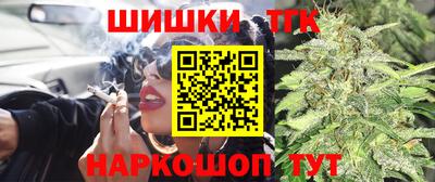 apvp Канаш