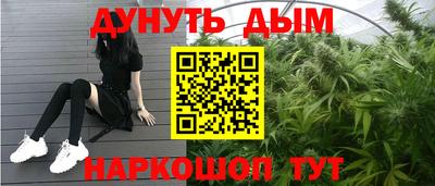 apvp Канаш