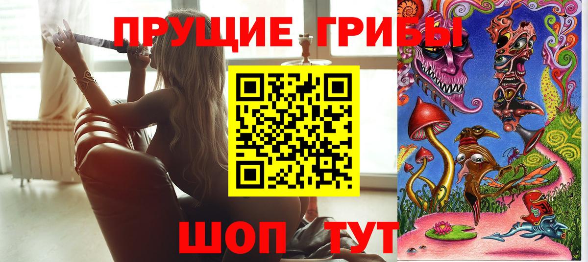 Кудымкар  Псилоцибиновые грибы Magic Shrooms  Вход с VPN 
